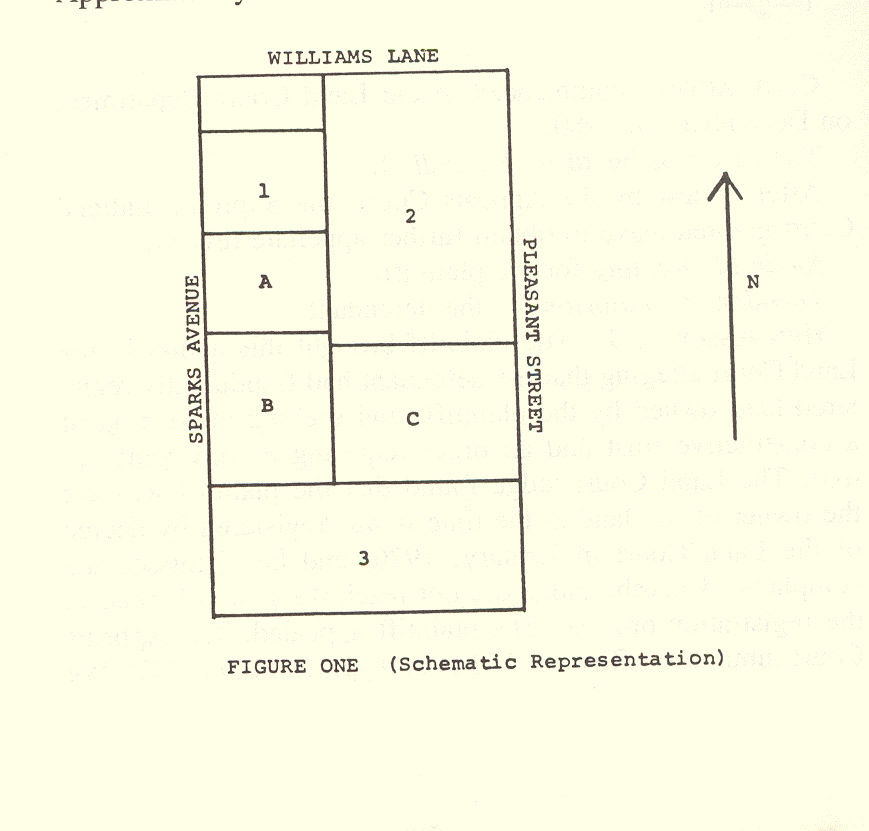 Figure One Schematic